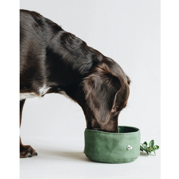 PackPup Bowl