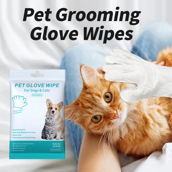 FluffWipe Pet Gloves – Hassle-Free Grooming & Cleaning