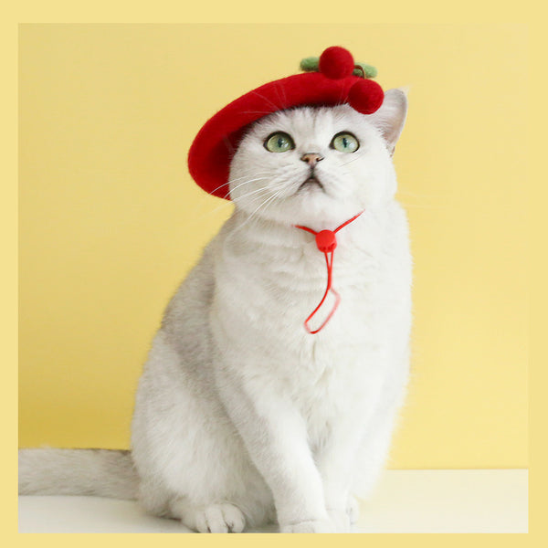 Pet Cat Wool Painter Bud Small Hat