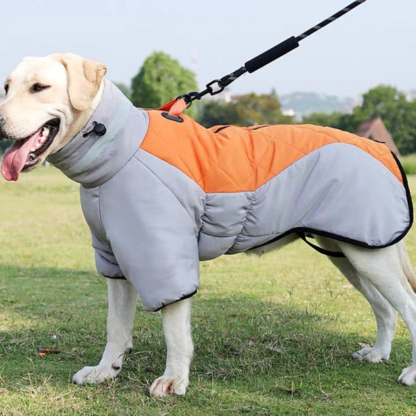 PawTherm Winter Coat – Insulated & Windproof