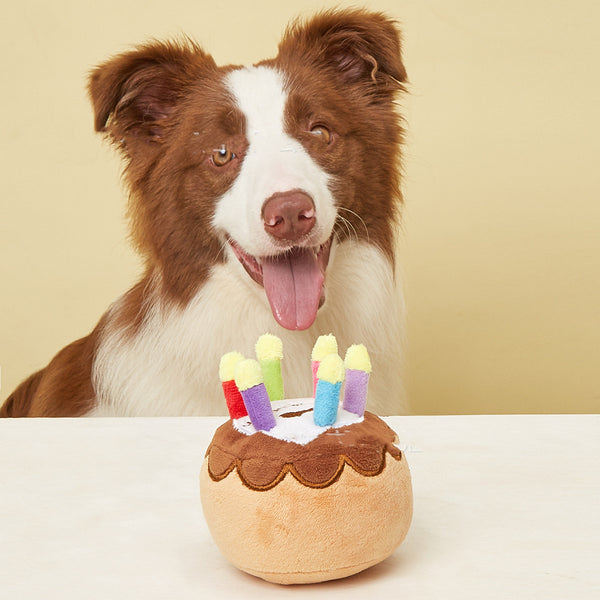 Pet Birthday Candle Cake toy