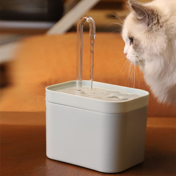 HydraPurr Water Fountain – USB Silent & Filtered