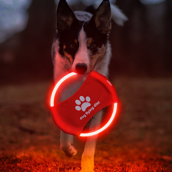 LumiPaws LED Frisbee – Nighttime Fun for Dogs