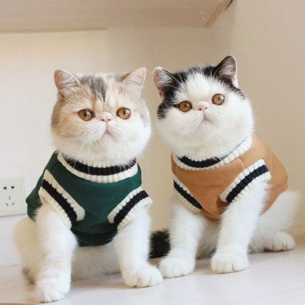 PreppyPaws Sweater