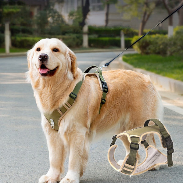 FurEase Handheld Leash – Strong & Comfortable