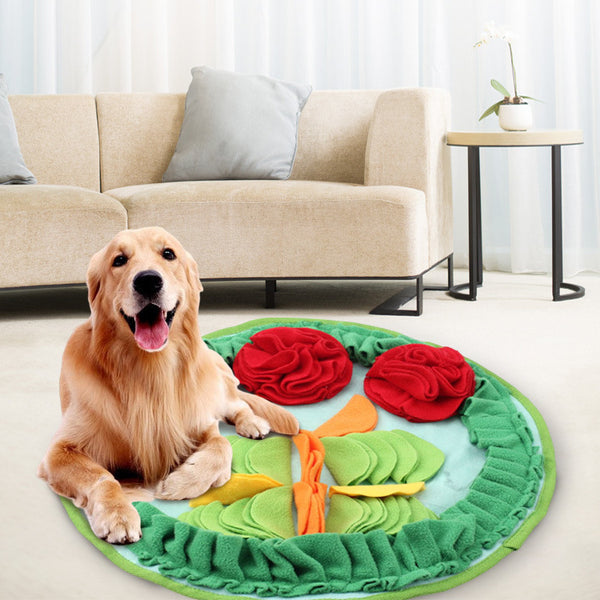 Pet Training Rabbit Hamster Sniff Pad