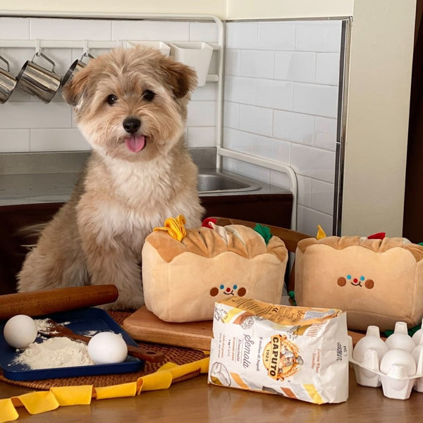 Bread Toast Sniffing Tibetan Food Toys